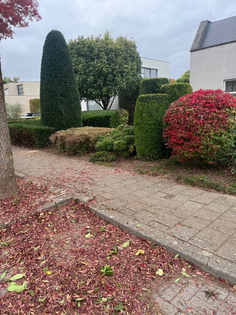 Aangelegde tuin met bestrating, border en gazon door Boomes