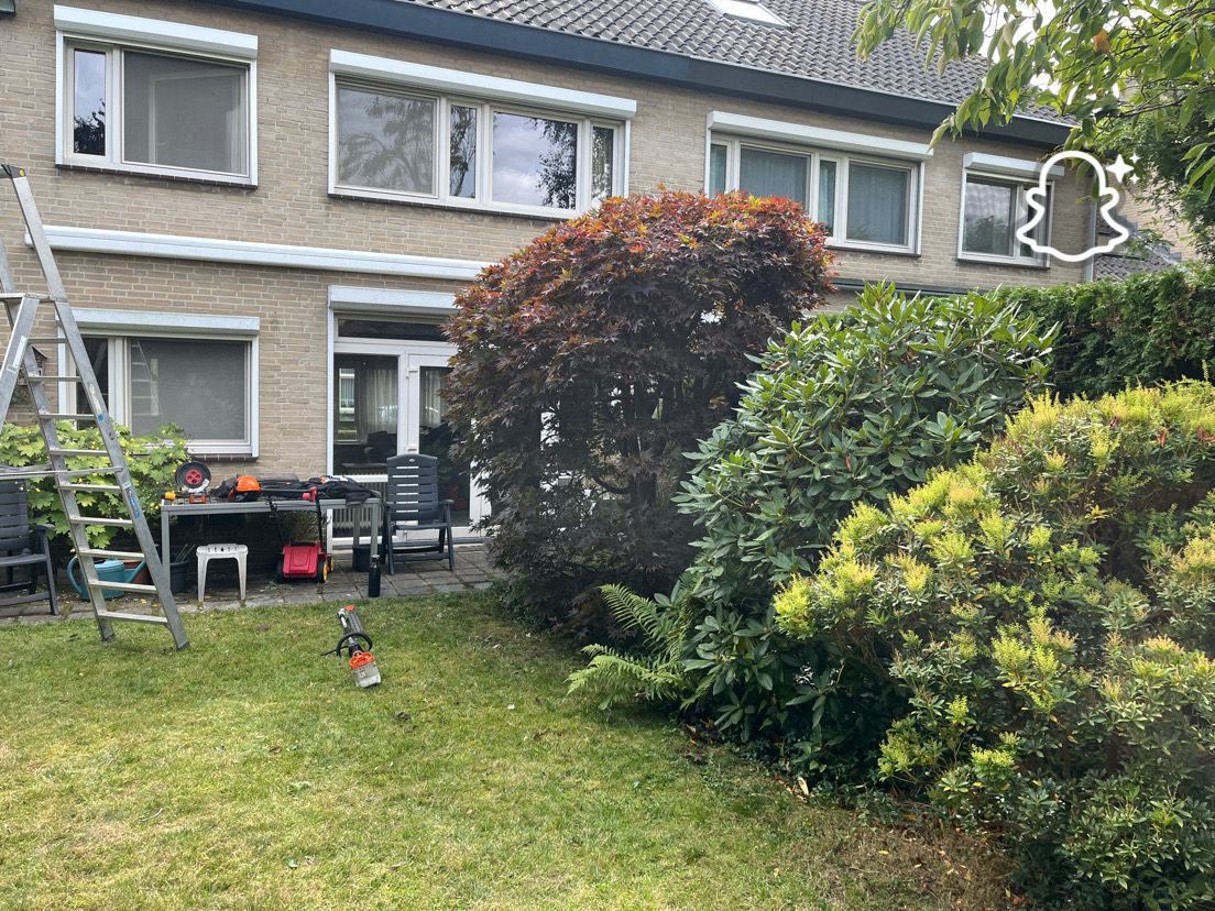 Achtertuin met verzorgde beplanting